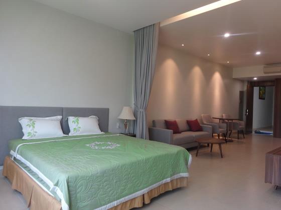 Cho thuê căn hộ cao cấp đầy đủ tiện nghi, Bạch Đằng, sân bay