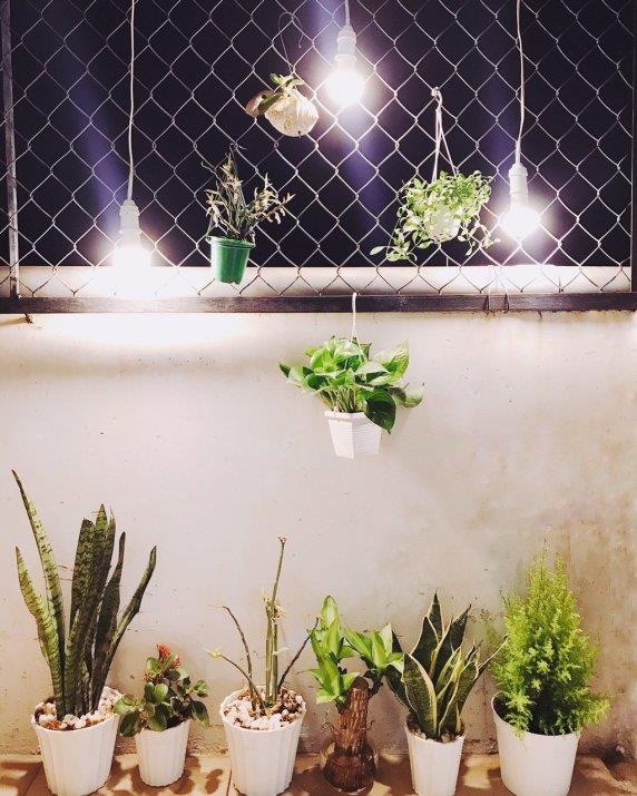 Cho thuê phòng trọ Bùi Văn Ba, P. Tân Thuận Đông, Q7, TP HCM