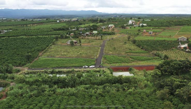 Nhân Booking dự án Đambri Hill Village