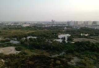 Bán căn hộ Estella 124m2 view công viên giá 5.4 tỷ