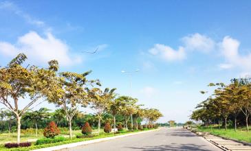 Bán đất nền mặt tiền sân bay quốc tế Long Thành 