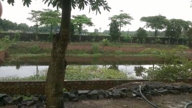 Cần Bán Gấp Trang Trại huyện Trảng Bom- Đồng Nai