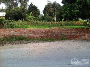 Nhượng 1500m2 đất trang trại nhà vườn Lương Sơn giá rẻ