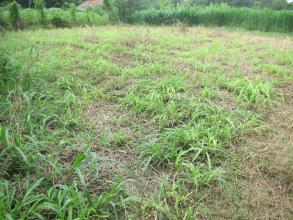 Đất nông nghiệp cần bán ở Biên Hòa, Đồng Nai