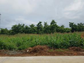 Chỉ 250 triệu có ngay 1 lô đất thổ cư 60m2 vành đai Y Moal