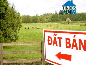 Tôi cần bán 60,000m2 (Sáu mẫu) Tại Long An