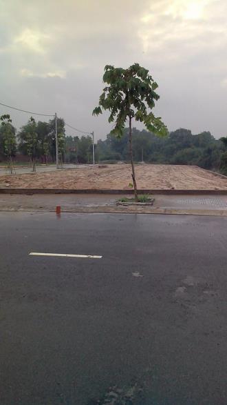 Sở hữu ngay lô đất giá rẻ gần vòng xoay An Phú