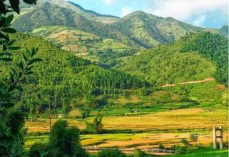 Biệt thự nghỉ dưỡng kiểu Mỹ ngoại ô Hà Nội chỉ 938tr/căn