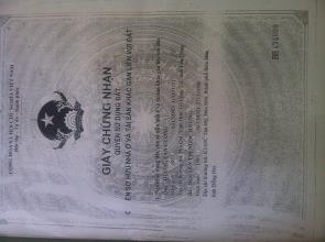 Cần tiền bán gấp lô đất 6x10m đường Hoa Cau 7,3 tỷ