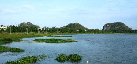 Đất biệt thự biển 140m2, 501 triệu/nền Đà Nẵng