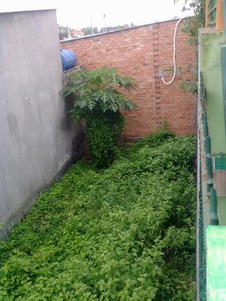 Đất nền 4x16m, Liên Ấp 6-2, VLA, giáp Bình Tân