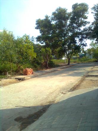 Bán đất hẻm 5m Nguyễn Văn Tạo, Long Thới, Nhà Bè