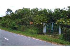 Đất nhà vườn Huyện Lương Sơn, Hòa Bình