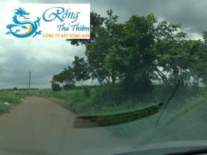 Bán 5474 m2 đất NN tại Trảng Bom. Có 52m mặt tiền đường nhựa