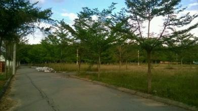 Bán đất Tân Định giá rẻ, ngay KDL Đại Nam