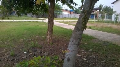 Bán đất nền sổ đỏ An Hòa, Biên Hòa giá rẻ