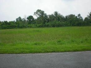 Bán gấp đất thổ cư 1000m2 Triệu Đức Hòa, Long An - 1,1 tỷ