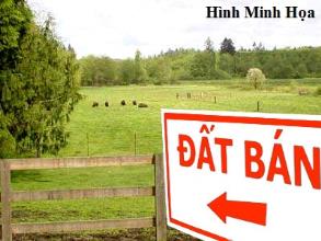 Bán đất giá rẻ tại kiệt miếu đôi