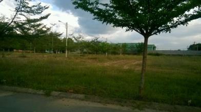 ĐẤT NỀN TÂN ĐỊNH