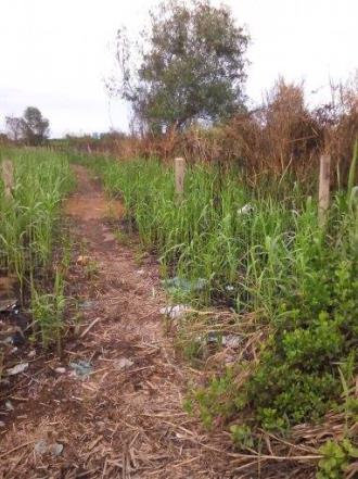 Sở Hữu Đất Vàng Vị Trí Cực Đẹp - Giá Cực Sốc Chỉ 3.4tr/m2