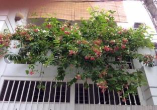 bán gấp nhà HXH 5m guyễn Sơn Q.Tân Phú DT: 4x13m Giá 2.3 tỷ