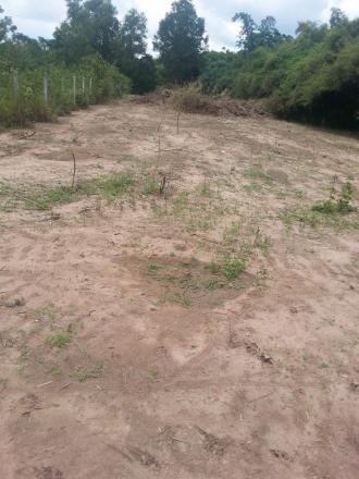 đất xây nhà trọ nhà xưởng tại Phú Thứ,Phú An,Bến Cát