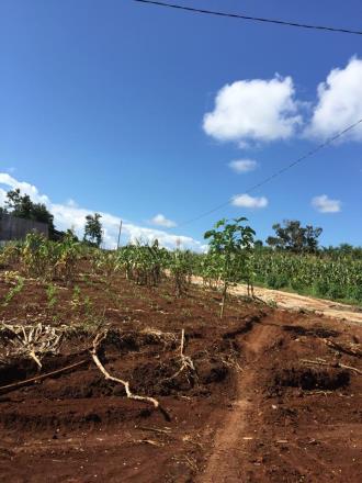 Đất vành đai Phạm Ngũ Lão,Buôn Ma Thuột 112m2,119tr