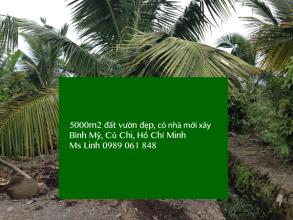 Đất vườn có nhà và cây thu hoạch Bình Mỹ, Củ Chi