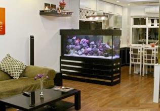 Bán gấp căn hộ 54,3m2 Kim Văn Kim Lũ CT12 bao sang tên 