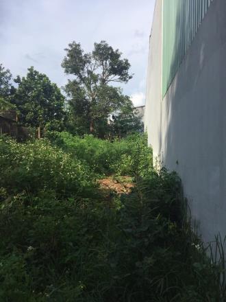 Đất hẻm 74 Nguyễn Khuyến 10x18m 920tr lên TC được Tây