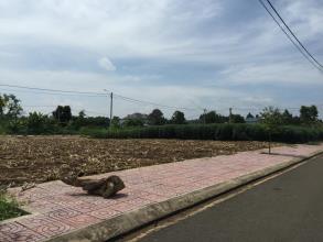 Đất thổ cư, tái định cư trung tâm p Thành Nhất, 325tr