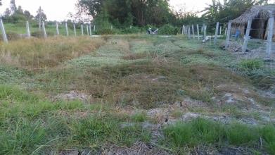 600 m2 đất vườn tại Cần Giuộc, Long An