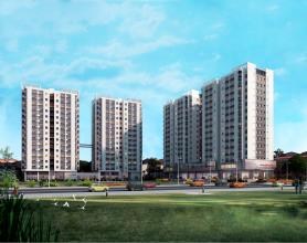 Mở bán chung cư PCC1 Complex, dt 50-67m