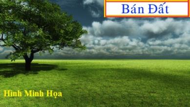 Bán 2 lô đất mặt tiền đường 22 Tam Bình Thủ Đức 