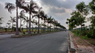 Bán gấp đất mặt tiền Quốc lộ 1A - Trung tâm huyện Bến Lức