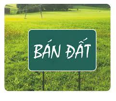 Bán đất Đồng Nai ngay ngã 3 Dầu Giây, mặt tiền quốc lộ 1A