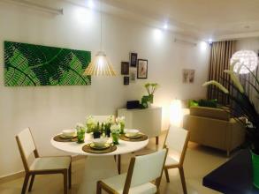 Căn hộ giá rẻ mặt tiền Âu Cơ, có hồ bơi, 2PN, 2WC