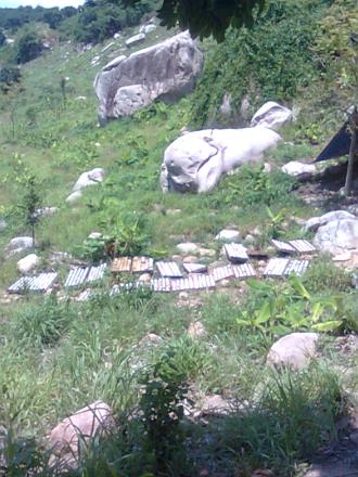 Hợp tác khai thác mỏ đá tại Hàm Thuận Nam