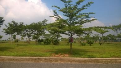 Đất nền The Viva City -  trả góp 5 năm lãi suất 0%. 