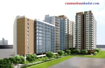 Dự án căn hộ LUXCITY quận 7