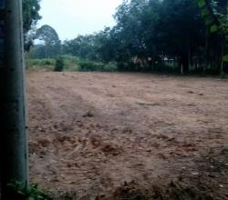 Đất nền Tân Định Bến Cát siêu rẻ - 150 triệu