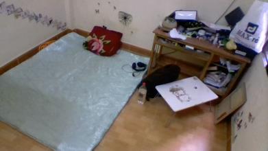 cho thuê phòng ở cùng chủ nhà