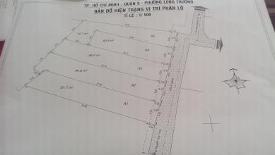  1 nền duy nhất, Nguyễn Duy Trinh, chỉ 448 triệu