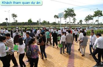 Thông Tin Thị Trường Đất Tại Bình Dương