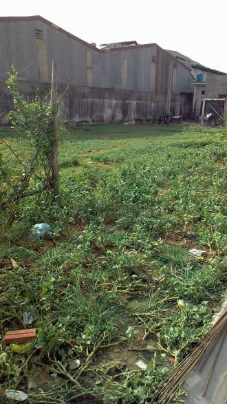 Bán đất Dĩ An chính chủ giá rẻ diện tích 100m2 sổ riêng