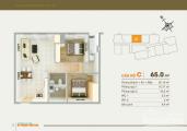 Căn hộ 91 Phạm Văn Hai - 1.8 tỷ/căn 65 m2
