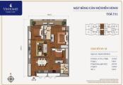 Bán căn hộ Vinhome Timecity, Mở bán tòa T11