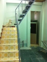 Cho Thuê Nhà nguyên căn gần chợ Thủ Đức