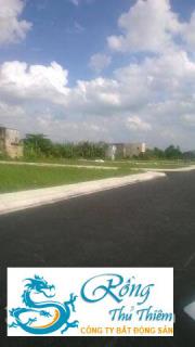 Đất mặt tiền Xã Xuân Thới Thượng, Hóc Môn, TP.HCM - 560 trệu