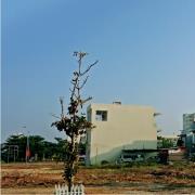 Đất biển Nguyễn Tất Thành gần trường ĐH Thể Thao 570tr/nền